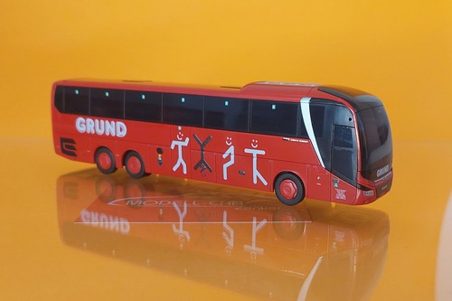 Rietze 74864 man - lion´s, coach